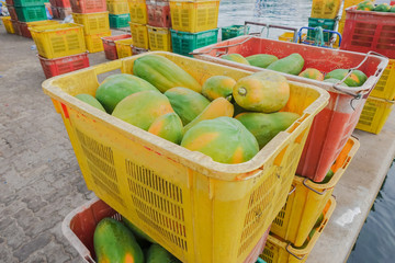 Fresh Papaya in the market at Male,Maldives