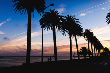 Palms on the shore of the ocean during the sunset in Porto, Portugal