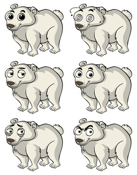 Polar bear with different facial expressions