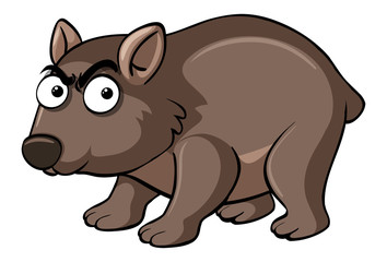 Wombat with serious face