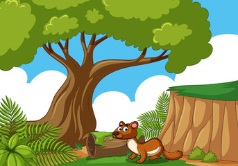 Obraz na płótnie Canvas Otter living in the forest