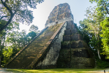 Temple V at the archaeological site Tikal, Guatemala
