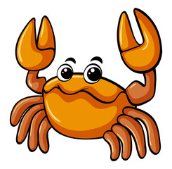Orange crab on white background