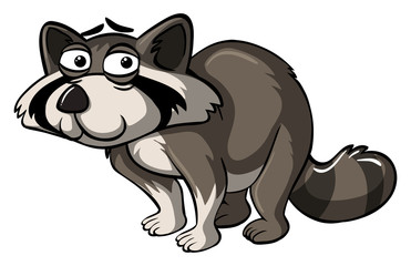 Wild raccoon with unhappy face