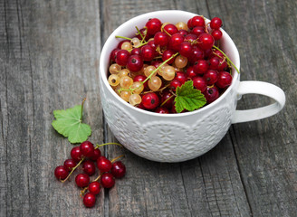 Cup with red currant