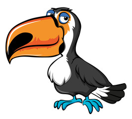 Toucan bird on white background