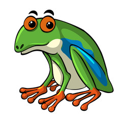 Green frog with happy face