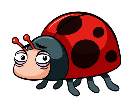 Sad ladybug on white background