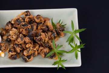 sea food sweet dried clams on dish with fork