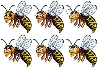 Wasps with different emotions