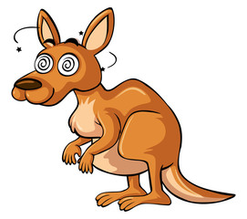 Kangaroo with dizzy face