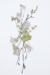 Design from wildflowers and herbs on a white background