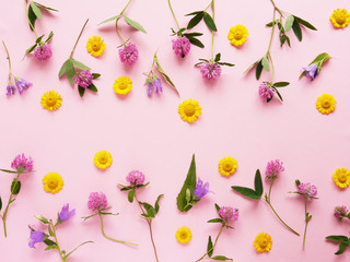 Flower pattern of wildflowers. Composition of flowers and plants. Top view. Floral abstract background. Flower concept. Clover flowers on a pink background.