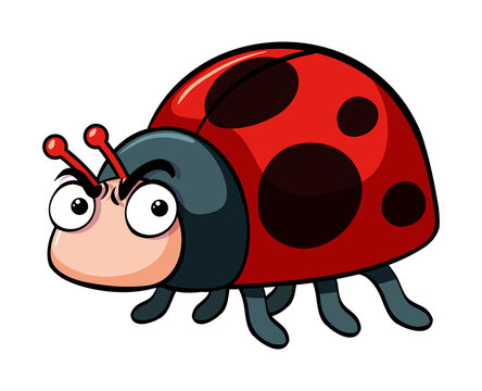 Angry ladybug on white background