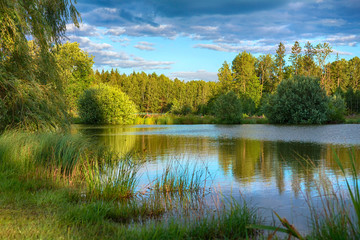 A clean calm lake on a summer evening among trees in the forest, the concept of ecology, travel, tourism