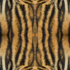 beautiful pattern background texture