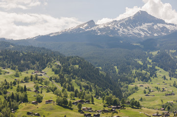 Grindelwald, Dorf, Bergdorf, Kleine Scheidegg, Lauberhorn, Tschuggen, Wengeneralp, Wanderweg, Alpen, Schweizer Berge, Fr&uuml;hling, Sommer, Schweiz