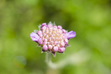 Macro dew drops on spider web. Close-up a drop of water with sparkling bokeh on green blurred background. Abstract soft artistic image