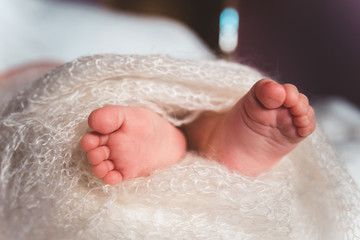 The baby's legs.