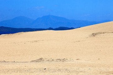 Fototapeta na wymiar Grandes Playas - Fuerteventura