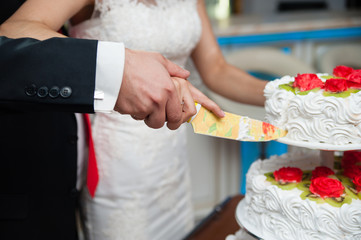 The newlyweds cut the cake at the wedding.