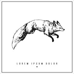 hand drawn isolated illustration with fox and place for your text. minimalism vintage  invitation, label or card