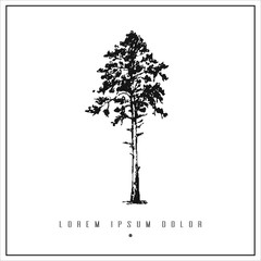 hand drawn isolated illustration with tree (oak, ash, birch, maple, fir, eucaliptus) and place for your text. minimalism vintage  invitation, label or card