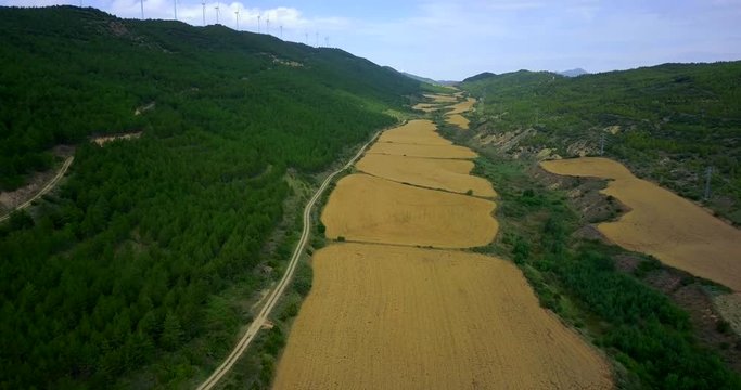 Vista aérea campos de trigo y molinos de viento