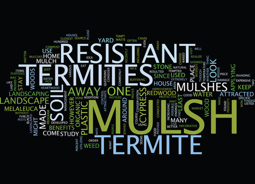 TERMITE RESISTANT MULSH Text Background Word Cloud Concept