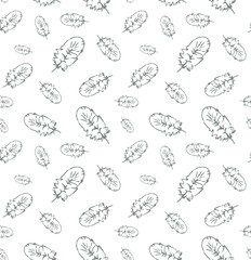 hand drawn seamless pattern with plumes on white background