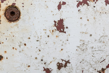 RUSTIC WHITE TEXTURE WALL