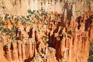 Bryce canyon
