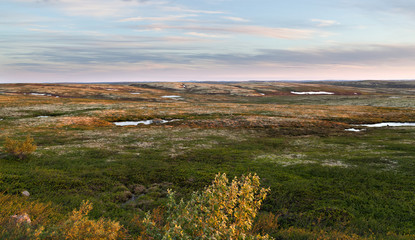 Dawn in tundra in the north of Russia - obrazy, fototapety, plakaty