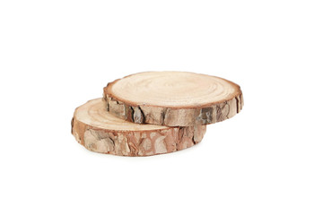 Cross section of tree trunk isolated on a white