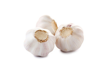 Garlic isolated on a white background