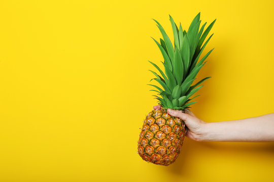Female hand holding ripe pineapple on yellow background