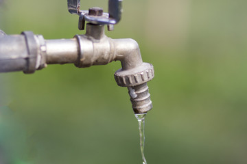 From an old tap water flows