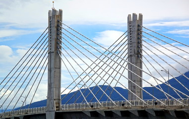 Cable Stayed Bridge with Two Pylons
