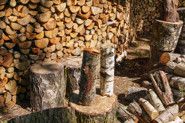 A woodpile of firewood, beautifully pinned and laid.