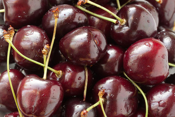 Ripe delicious burgundy cherry, with drops of water