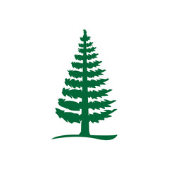 simple green pine tree icon. isolated on white background. 