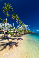 Obraz premium Tropical beach with with coconut palm trees and villas on Upolu, Samoa Islands
