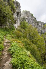 Fototapeta na wymiar Hike path on Vikos Gorge
