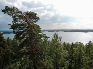 Fototapeta na wymiar Scenery of the finnish lakes in summer surrounded by deep green forests