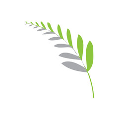 abstract fern leaf icon, isolated on white background.  