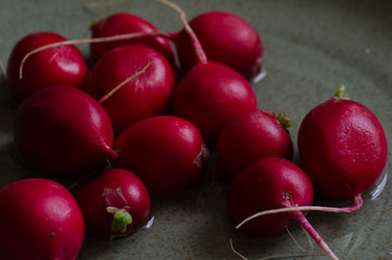 Red Radishes