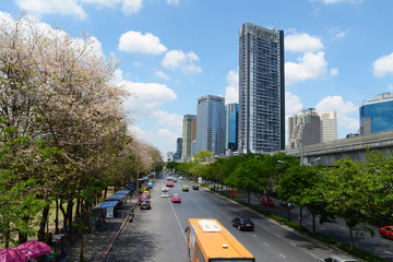 Transportation on Chatuchak Road at Chatuchak public park or around Mo chit station on Chatuchak district, Bangkok, Thailand 