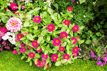 Naklejka premium jardin en fleur