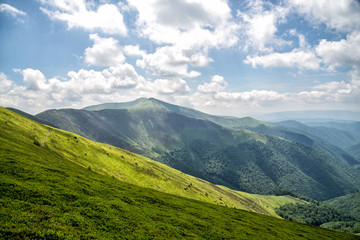 Amazing carpathian mountains
