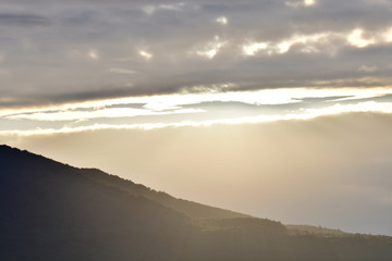 sunset forest and sky nature scenery in the evening	